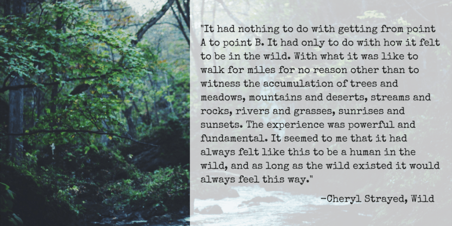 wild cheryl strayed